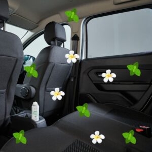 Ενεργό Spray Για Έντονες Οσμές Autoglym Spearmint Fogger 150ml Spray - Image 3
